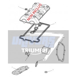 KIT REVISION TIGER 800