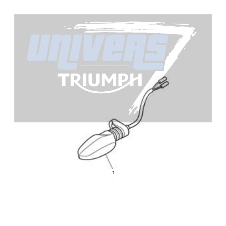 Clignotant 50cc Paire De Clignotants LED Pour Moto Triumph Tiger 800/1200 Clignotant Pour Moto 12v