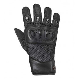 GANTS HARPTON                                                                   
