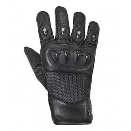 GANTS HARPTON                                                                   