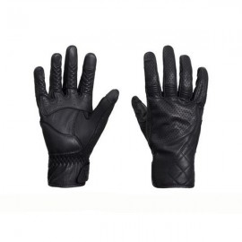 GANTS BANNER BLACK                                                              