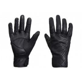GANTS BANNER BLACK              