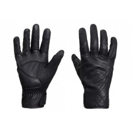 GANTS BANNER BLACK              
