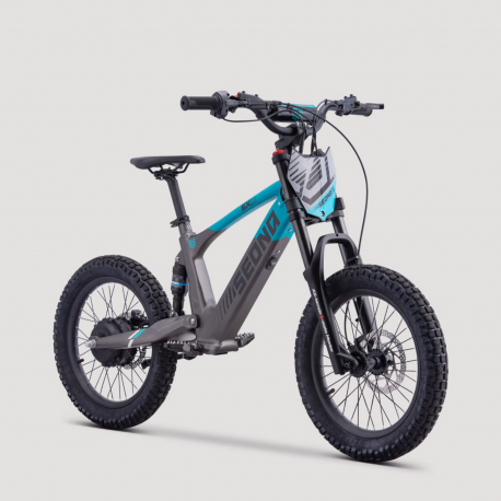 SEDNA SX18 DRAISIENNE ÉLECTRIQUE 