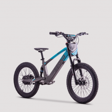 SEDNA SX20 DRAISIENNE ÉLECTRIQUE 